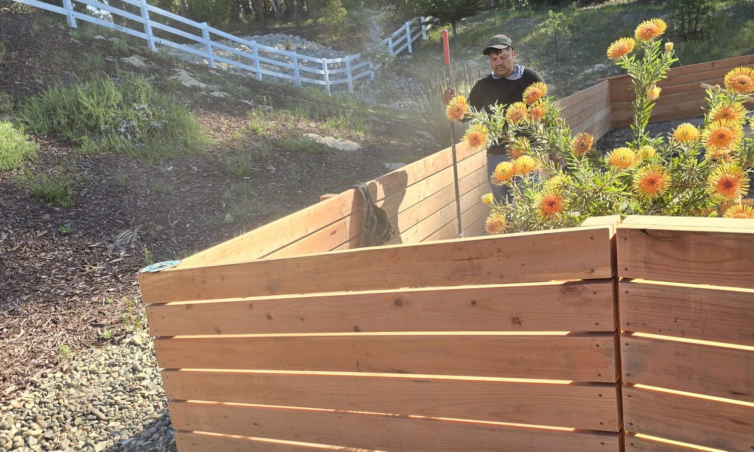 Fences 3