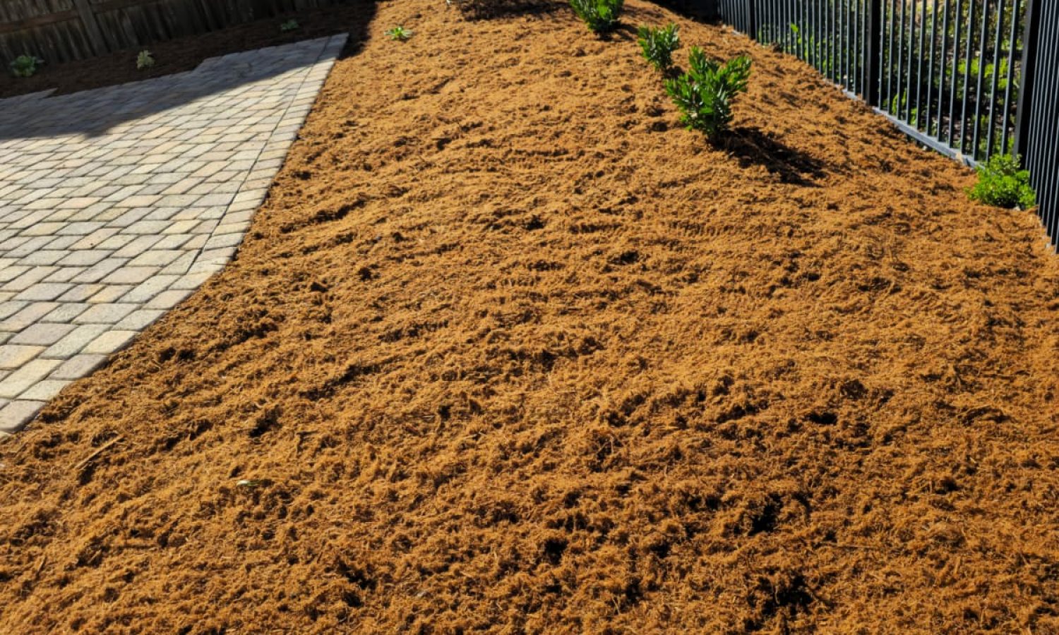 Landscaping 14